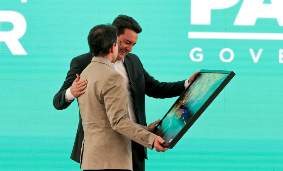 Paraná anuncia investimento de R$ 115 milhões em políticas públicas para mulheres