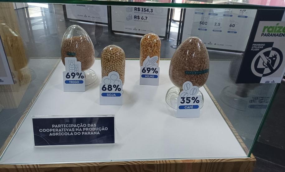 Arquivo Público do Paraná inaugura exposição valorizando a história do cooperativismo