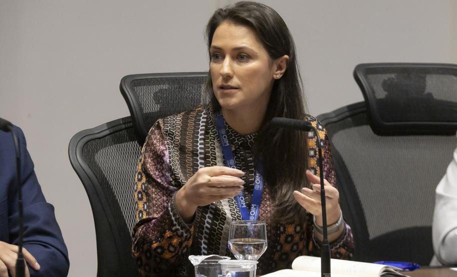 Estado prepara plano de retomada econômica para Rio Bonito do Iguaçu após tornado