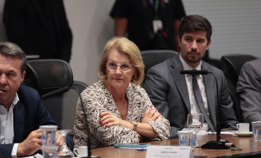 Estado, MPPR e Klabin fecham acordo para ampliação do Parque Guartelá