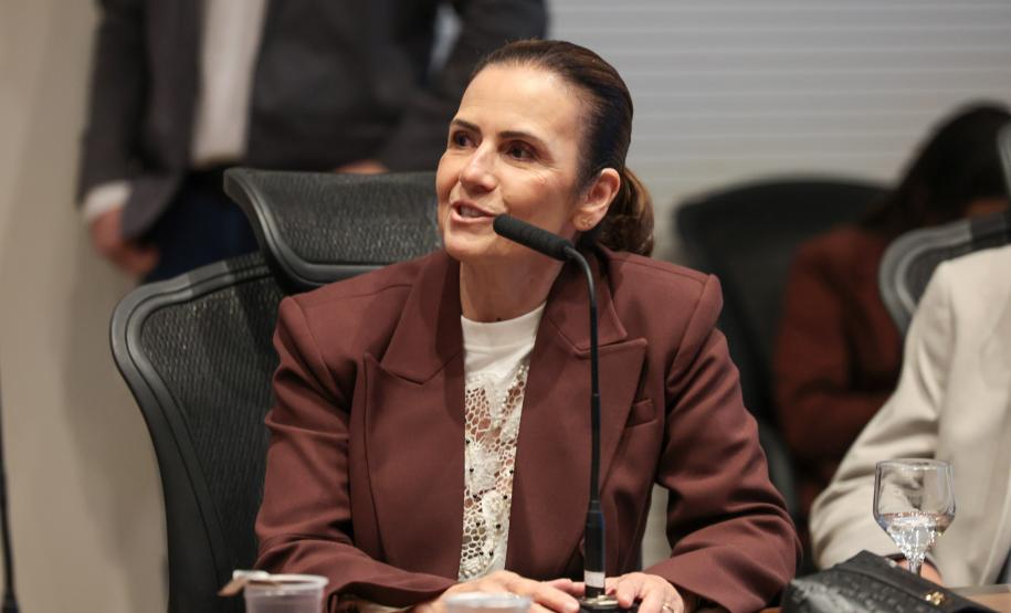 Estado, MPPR e Klabin fecham acordo para ampliação do Parque Guartelá