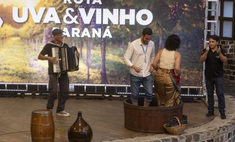 Rota da Uva & Vinho: Paraná lança circuito para impulsionar vitivinucultura e valorizar tradições