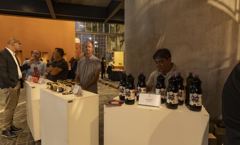 Rota da Uva & Vinho: Paraná lança circuito para impulsionar vitivinucultura e valorizar tradições