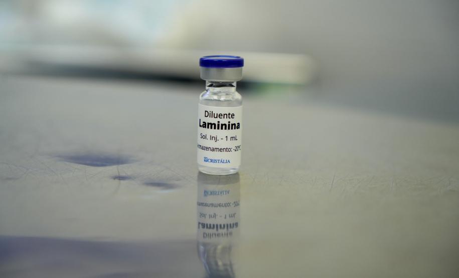 Paraná já tem 8 aplicações de polilaminina; Ratinho Junior recebe médicos e reforça apoio à pesquisa